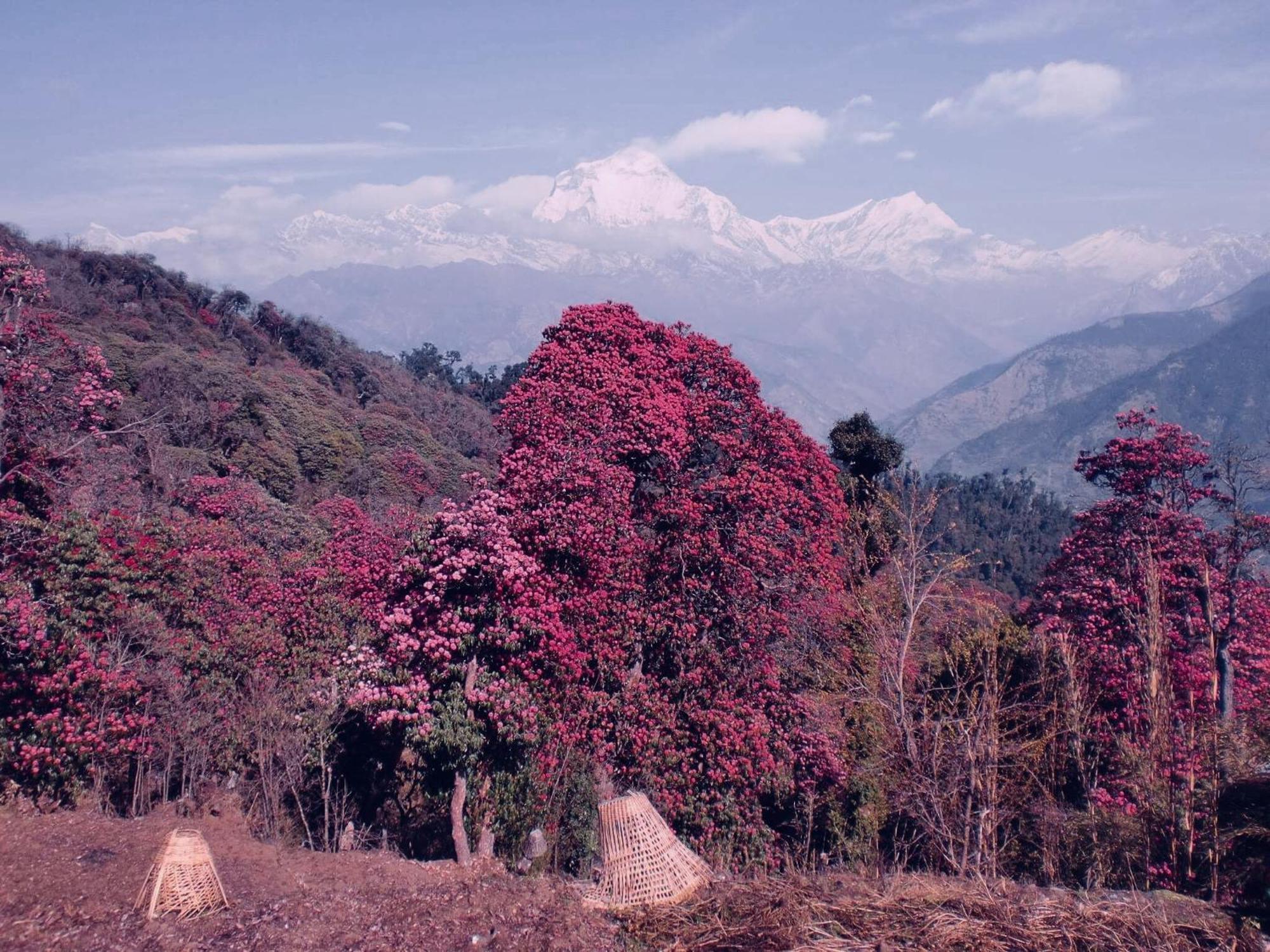 Hotel Annapurna View Sarangkot Pokhara Exterior photo